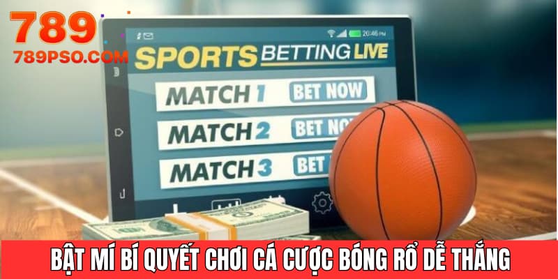 Bật mí bí quyết chơi cá cược bóng rổ dễ thắng