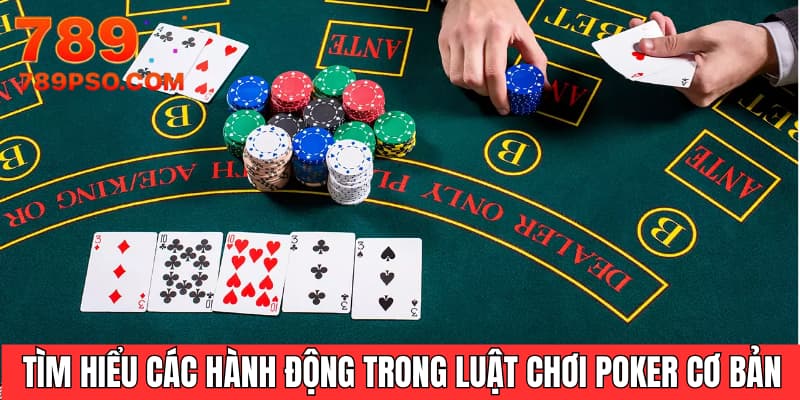 Tìm hiểu các hành động trong luật chơi Poker cơ bản