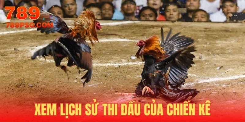 Mẹo đá gà thắng lớn tại 789P - Xem lịch sử đấu