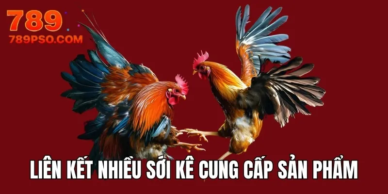 Nhà cái liên kết phát triển sản phẩm với nhiều sới kê